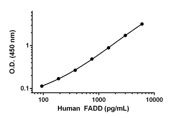 Sandwich ELISA - Human FADD Antibody Pair - BSA and Azide free (AB241854), expandable thumbnail