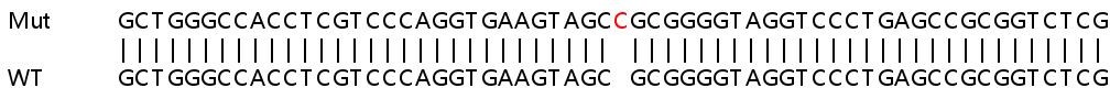 Sanger Sequencing - Human FADS1 knockout HeLa cell line (AB265683), expandable thumbnail