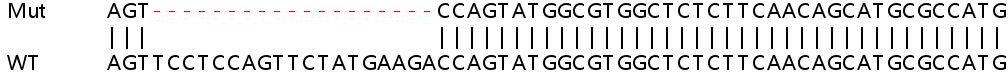 Sanger Sequencing - Human FAM129B knockout HEK-293T cell line (AB266826), expandable thumbnail