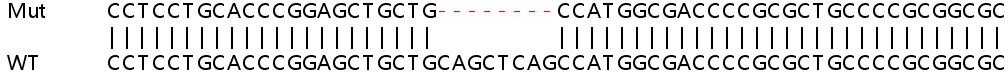 Sanger Sequencing - Human FAM136A knockout HEK-293T cell line (AB266445)