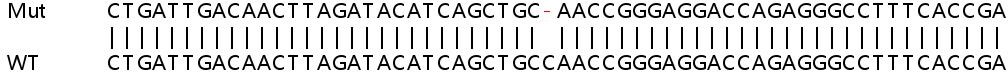 Sanger Sequencing - Human FAM20B knockout HeLa cell lysate (AB258867), expandable thumbnail