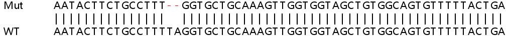 Sanger Sequencing - Human FAM3C (ILEI) knockout HeLa cell line (AB264723), expandable thumbnail