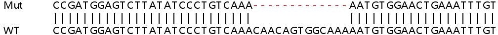 Sanger Sequencing - Human FAM46A knockout A549 cell lysate (AB258422), expandable thumbnail