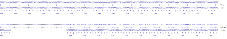 Next Generation Sequencing - Human FANCA knockout A549 cell line (AB287410)