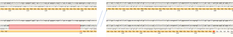 Sanger Sequencing - Human FANCA knockout A549 cell line (AB287410)