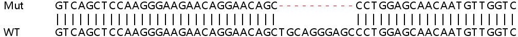 Sanger Sequencing - Human FANCG knockout HEK-293T cell line (AB266776)