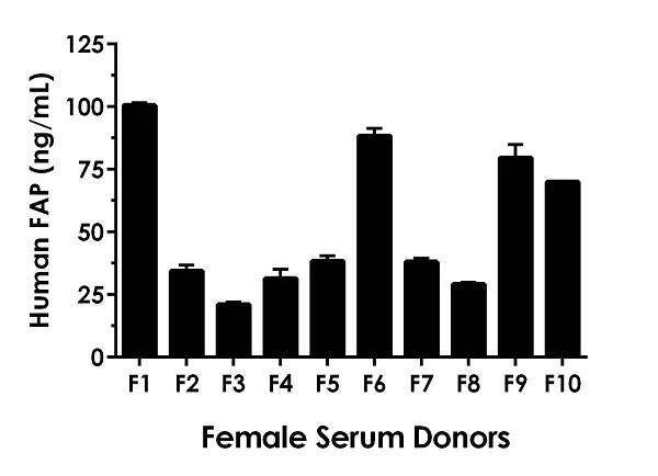 Sandwich ELISA - Human FAP ELISA Kit (AB256404)