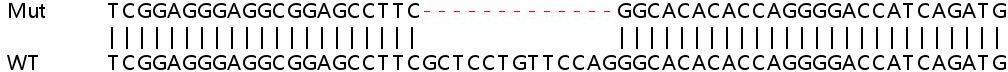 Sanger Sequencing - Human FASTK knockout HeLa cell line (AB265046), expandable thumbnail