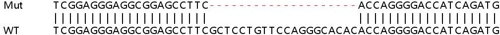 Sanger Sequencing - Human FASTK knockout HeLa cell line (AB265046), expandable thumbnail