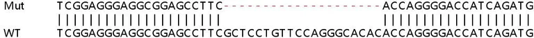 Sanger Sequencing - Human FASTK knockout HeLa cell line (AB265046)
