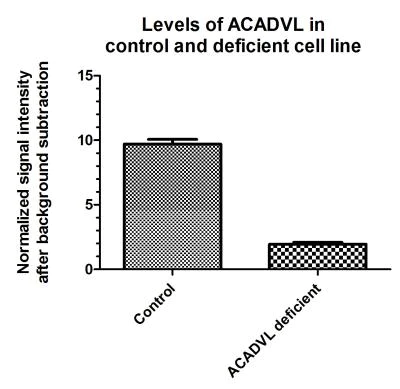 In-Cell ELISA - Human Fatty Acid Oxidation In-Cell ELISA Kit (AB118182)