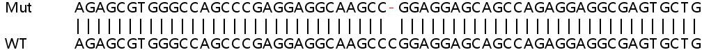 Sanger Sequencing - Human FBXO2 knockout HeLa cell line (AB265579), expandable thumbnail