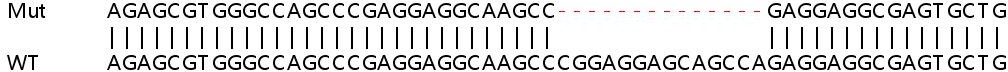 Sanger Sequencing - Human FBXO2 knockout HeLa cell line (AB265579), expandable thumbnail