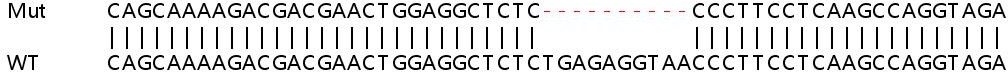 Sanger Sequencing - Human FBXW7 knockout HEK-293T cell line (AB265070), expandable thumbnail