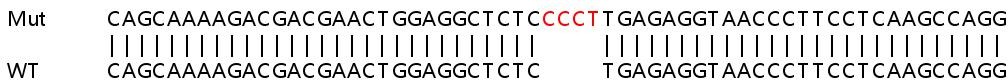 Sanger Sequencing - Human FBXW7 knockout HEK-293T cell line (AB265070), expandable thumbnail