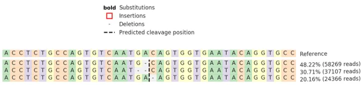 Next Generation Sequencing - Human FCGR1A knockout THP-1 cell line (AB275843)