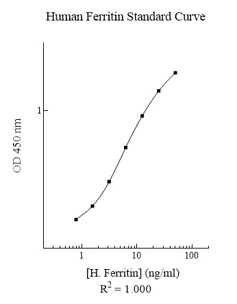 Sandwich ELISA - Human Ferritin ELISA Kit (AB108837)