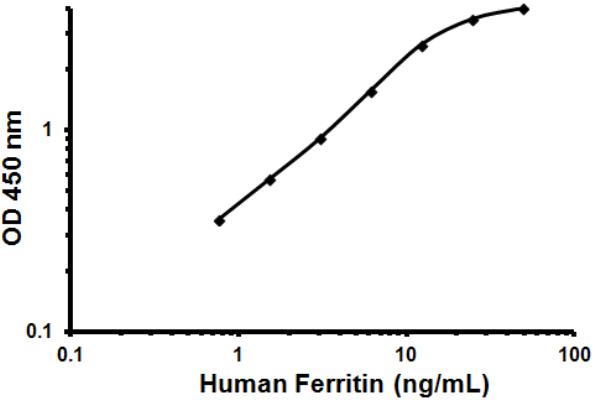 Sandwich ELISA - Human Ferritin ELISA Kit (AB108837), expandable thumbnail
