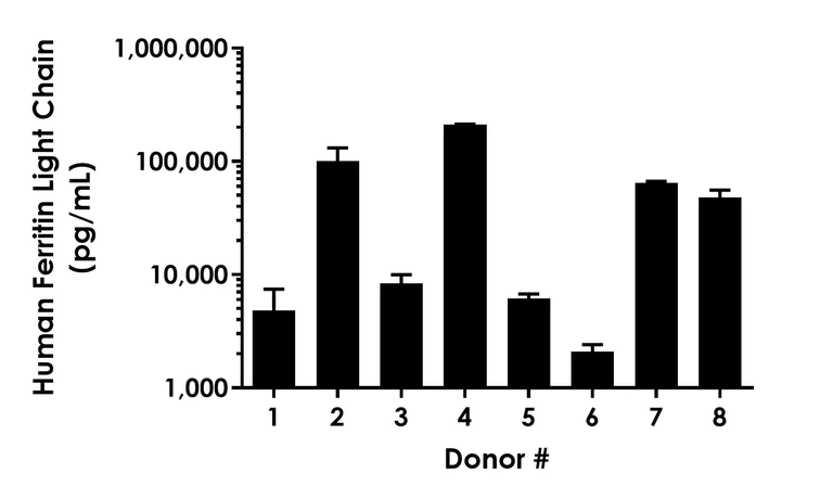 Sandwich ELISA - Human Ferritin Light Chain ELISA Kit- Extracellular (AB316893)