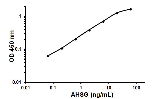 Sandwich ELISA - Human Fetuin A ELISA Kit (AHSG) (AB108855)