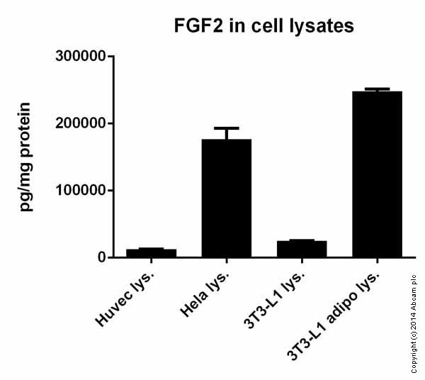 Sandwich ELISA - Human FGF basic ELISA Kit (FGF2) (AB99979), expandable thumbnail