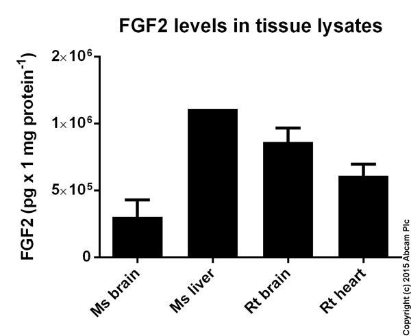 Sandwich ELISA - Human FGF basic ELISA Kit (FGF2) (AB99980), expandable thumbnail
