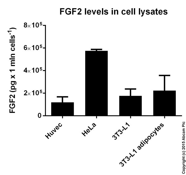 Sandwich ELISA - Human FGF basic ELISA Kit (FGF2) (AB99980), expandable thumbnail