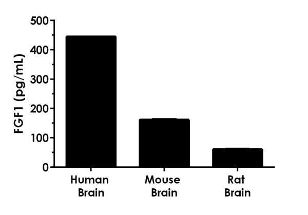 Sandwich ELISA - Human FGF1 ELISA Kit (AB219636)