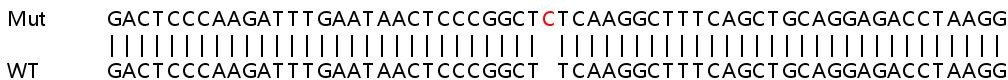 Sanger Sequencing - Human FGF21 knockout HeLa cell lysate (AB256915), expandable thumbnail