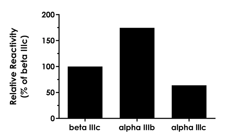 Sandwich ELISA - Human FGFR2 ELISA Kit - Extracellular (AB309321)