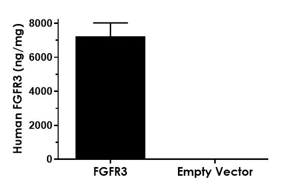 Sandwich ELISA - Human FGFR3 ELISA Kit (AB214027)