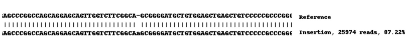 Next Generation Sequencing - Human FGFR3 knockout HEK-293 cell line (AB259775), expandable thumbnail
