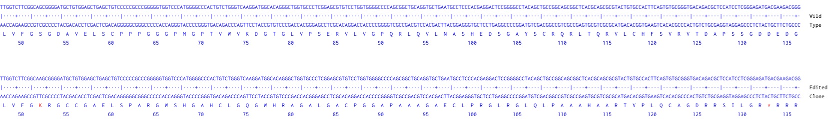 Next Generation Sequencing - Human FGFR3 knockout HEK-293 cell line (AB259775), expandable thumbnail