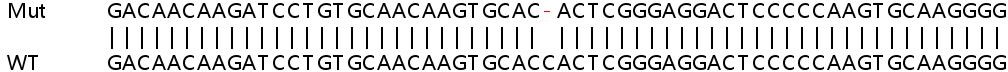 Sanger Sequencing - Human FHL1 knockout HeLa cell line (AB266011), expandable thumbnail