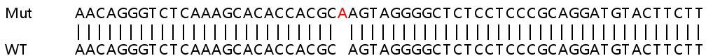 Sanger Sequencing - Human FHL2 knockout HeLa cell lysate (AB257441), expandable thumbnail