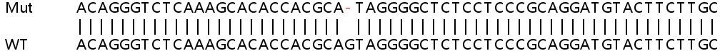 Sanger Sequencing - Human FHL2 knockout HeLa cell lysate (AB257441), expandable thumbnail