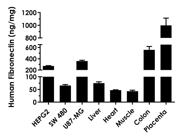 Sandwich ELISA - Human Fibronectin ELISA Kit, Fluorescent (AB229398)