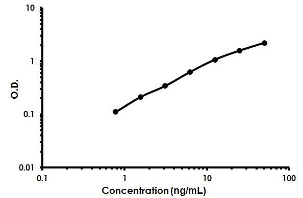 Sandwich ELISA - Human Ficolin-2 ELISA Kit (AB213778)