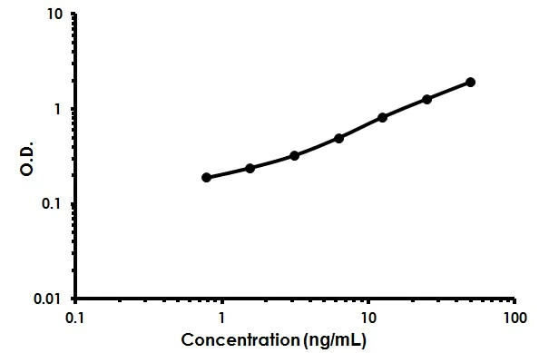Sandwich ELISA - Human Ficolin-3 ELISA Kit (AB213779)