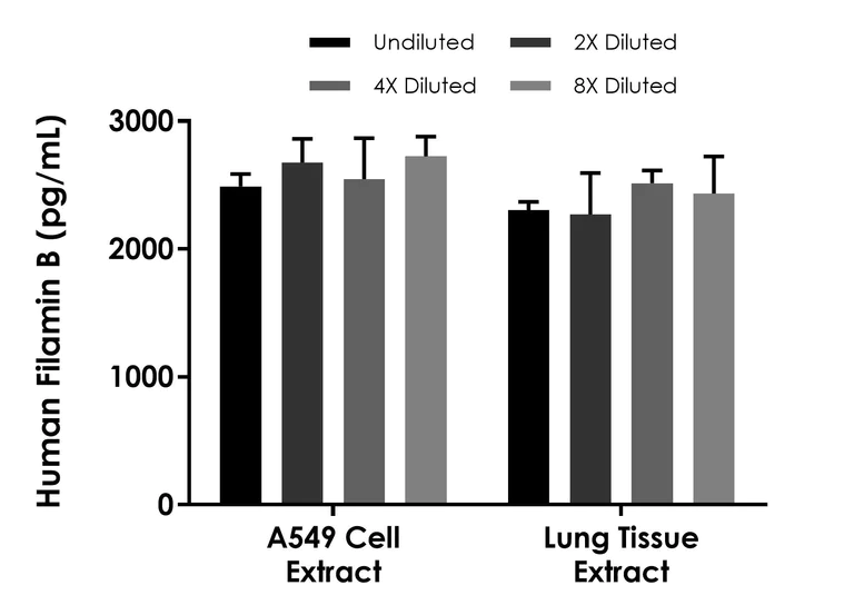 Sandwich ELISA - Human Filamin B ELISA Kit - Intracellular (AB309303)