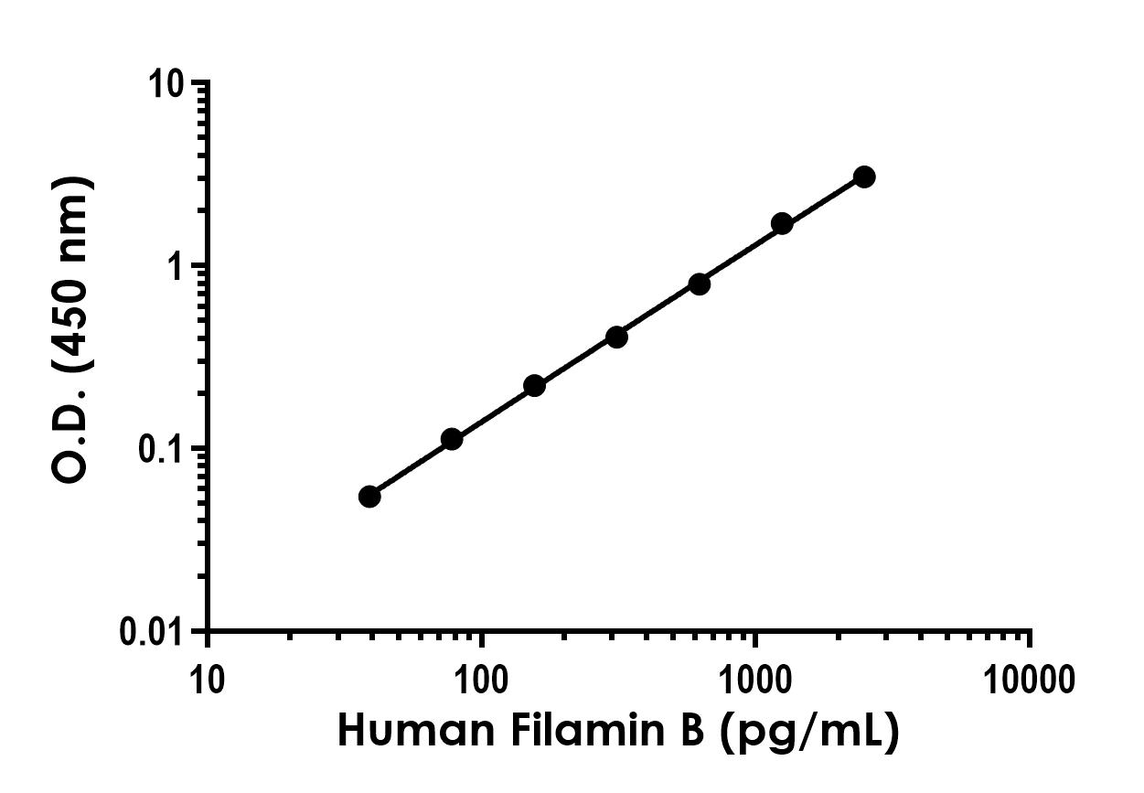 Sandwich ELISA - Human Filamin B ELISA Kit - Intracellular (AB309303), expandable thumbnail