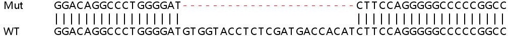 Sanger Sequencing - Human FKBP10 knockout HEK-293T cell lysate (AB258872), expandable thumbnail