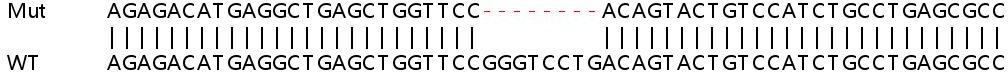 Sanger Sequencing - Human FKBP2 knockout HEK-293T cell lysate (AB263201), expandable thumbnail
