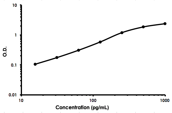 Sandwich ELISA - Human Flt3 ligand / Flt3L ELISA Kit (AB213780)