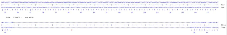 Next Generation Sequencing - Human FLT4 knockout HCT116 cell line (AB286591)