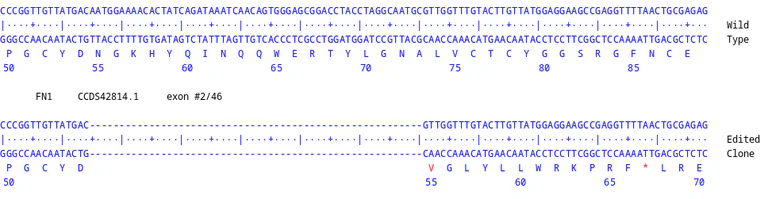 Next Generation Sequencing - Human FN1 knockout MCF7 cell line (AB326019)
