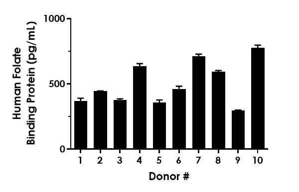 Sandwich ELISA - Human Folate Binding Protein (FBP) ELISA Kit (AB277710)