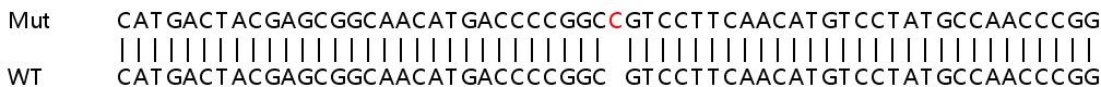 Sanger Sequencing - Human FOXA1 knockout HeLa cell lysate (AB256920), expandable thumbnail