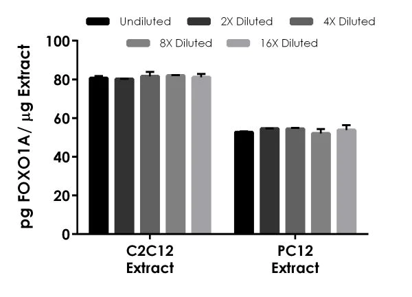 Sandwich ELISA - Human FOXO1A ELISA Kit (AB215087)