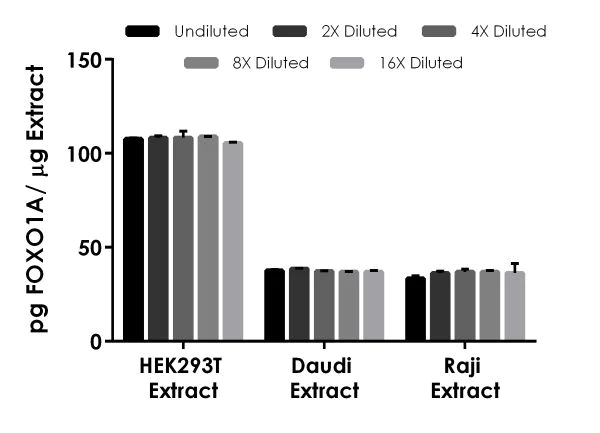 Sandwich ELISA - Human FOXO1A ELISA Kit (AB215087)